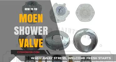 Easy DIY Guide to Repairing Your Moen Shower Valve Quickly