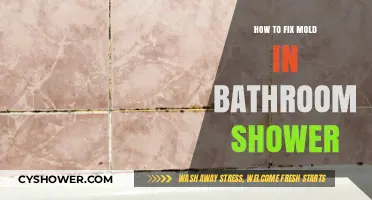 Effective Ways to Eliminate and Prevent Mold in Your Shower