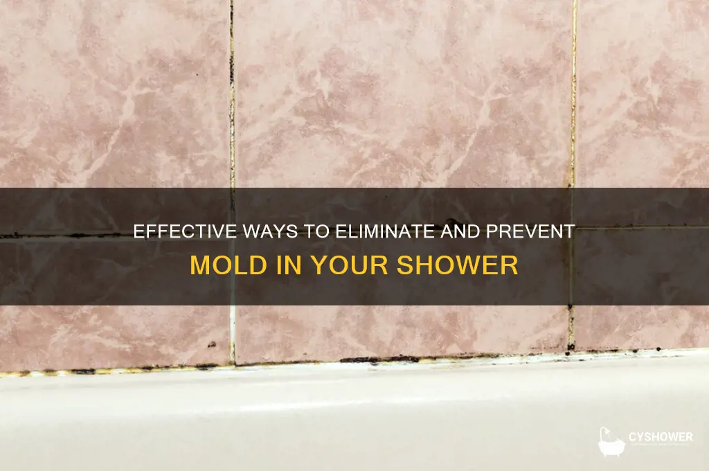 how to fix mold in bathroom shower
