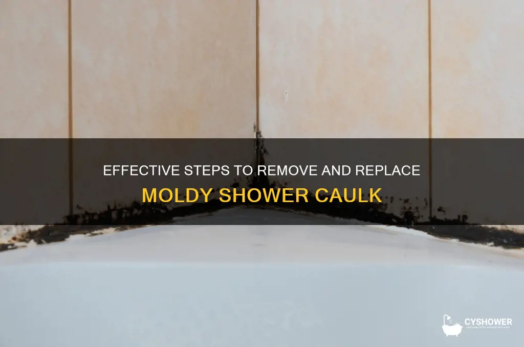 how to fix moldy caulk in shower