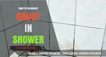 Effective Solutions to Eliminate Moldy Grout in Your Shower