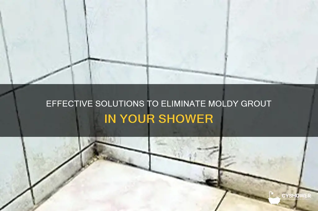 how to fix moldy grout in shower