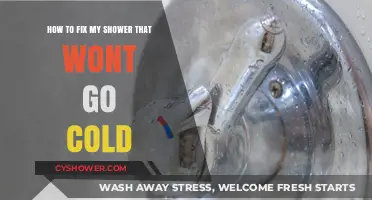 Troubleshooting Your Shower: Quick Fixes for Water That Won't Go Cold