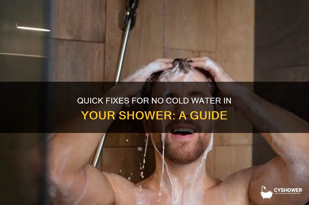 how to fix no cold water in shower