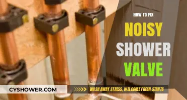 Quiet Your Shower: Simple Steps to Fix a Noisy Valve