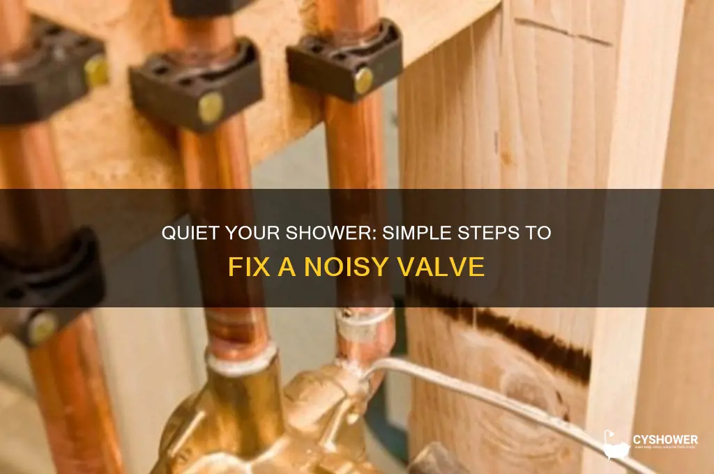 how to fix noisy shower valve