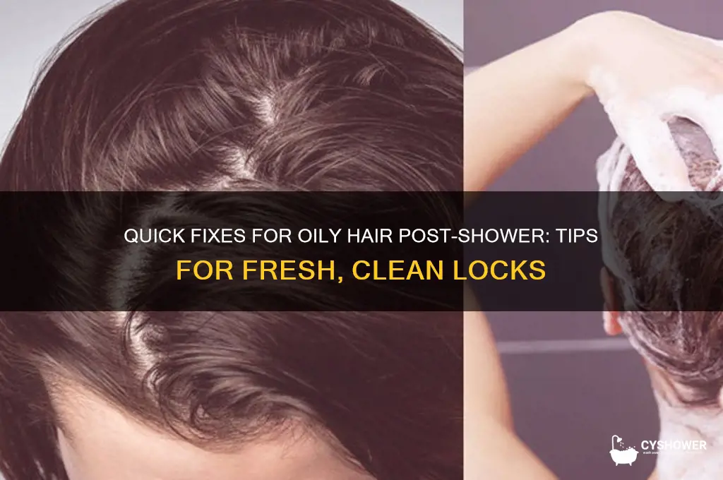 how to fix oily hair after shower
