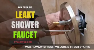 Quick DIY Guide to Repairing Your Old Leaky Shower Faucet