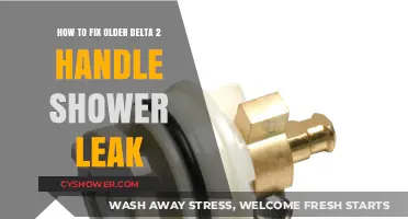 Repairing Leaky Delta 2-Handle Shower: A Step-by-Step DIY Guide