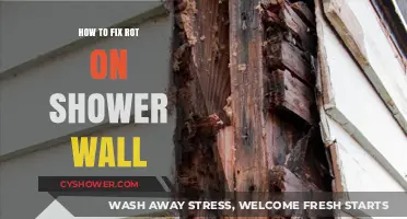Effective Solutions to Repair and Prevent Shower Wall Rot