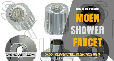 Quick Fixes for a Leaky Moen Shower Faucet: DIY Guide