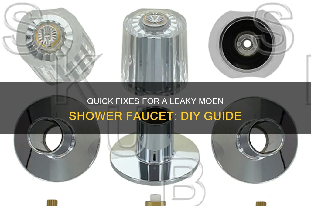 how to fix running moen shower faucet