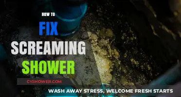 Stop the Noise: Quick Fixes for a Screaming Shower Problem