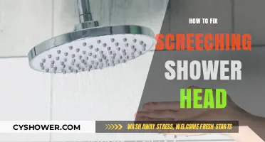Stop the Screech: Quick Fixes for a Noisy Shower Head