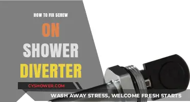 Easy DIY Guide: Repairing a Screw-On Shower Diverter Quickly