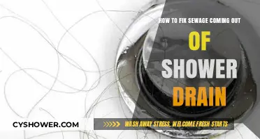 Fixing Sewage Backup in Shower Drains: A Step-by-Step Guide