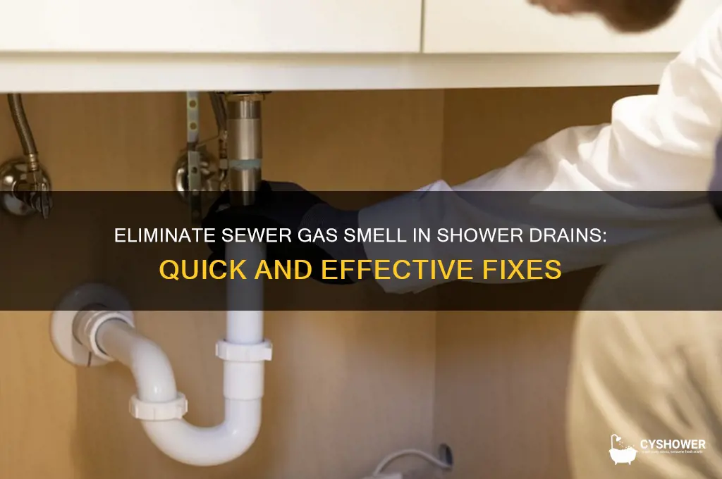 how to fix sewer gas smell in shower drain