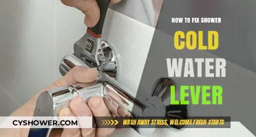 Fix Your Shower Cold Water Lever: Easy DIY Repair Guide
