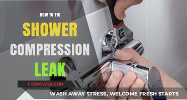 Quick Guide to Repairing a Shower Compression Leak Easily