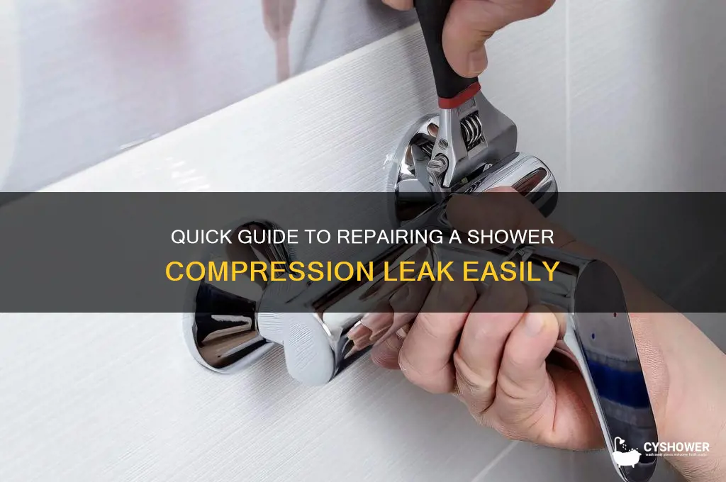 how to fix shower compression leak