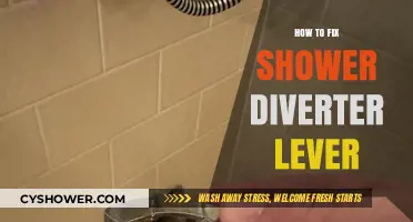 Easy DIY Guide to Repairing Your Shower Diverter Lever