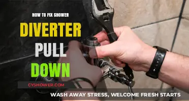 Fixing Your Shower Diverter Pull Down: A Step-by-Step Repair Guide