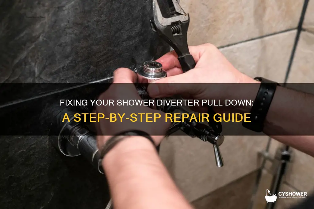 how to fix shower diverter pull down