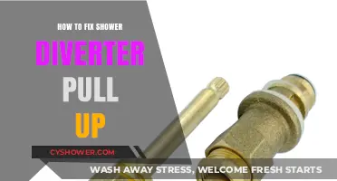 Quick Fix: Repairing Your Shower Diverter Pull-Up Mechanism Easily