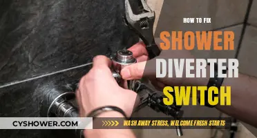 Easy DIY Guide to Repairing Your Shower Diverter Switch