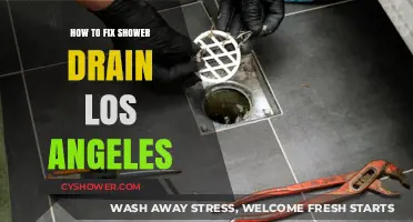 Quick Shower Drain Fixes: Los Angeles DIY Solutions Guide