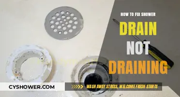 Quick Fixes for a Shower Drain That Won’t Drain Properly
