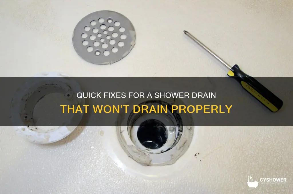 how to fix shower drain not draining