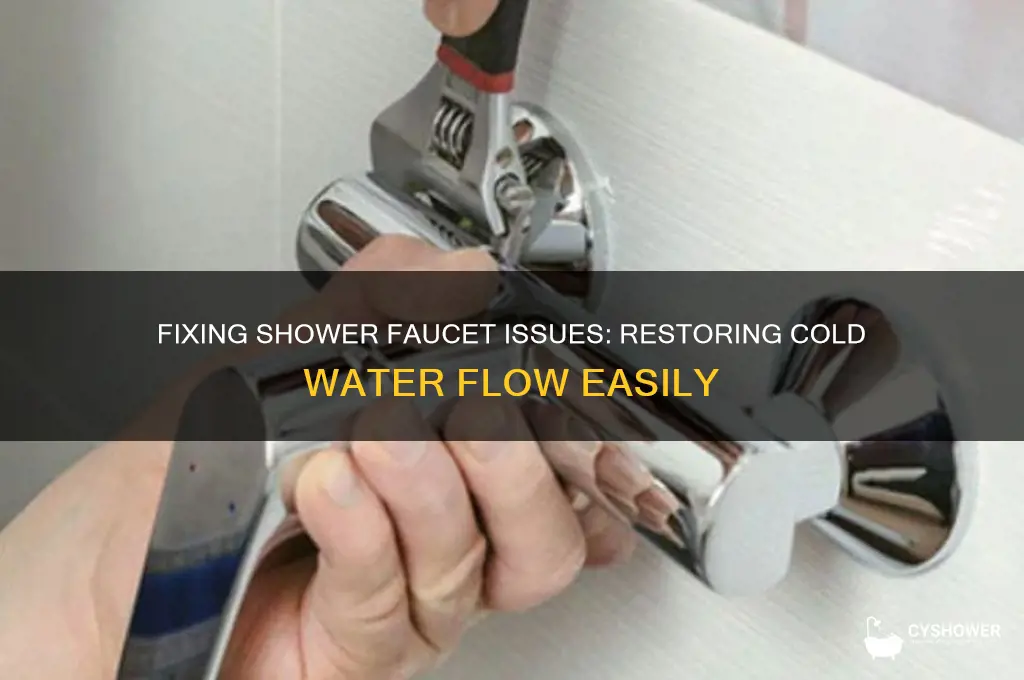how to fix shower faucet no cold water