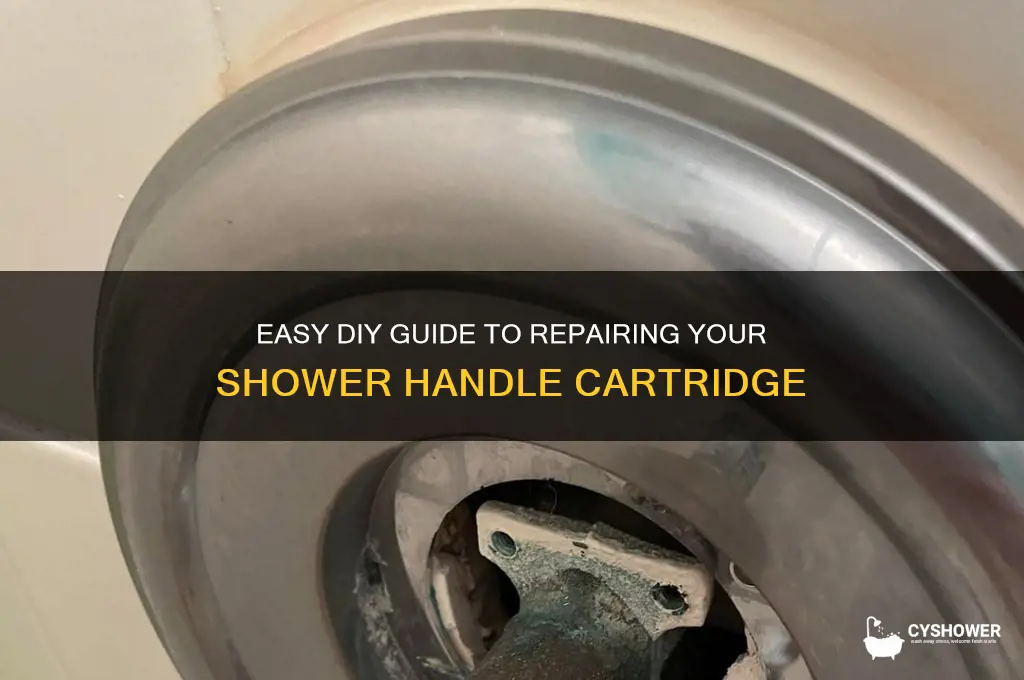 how to fix shower handle cartridge