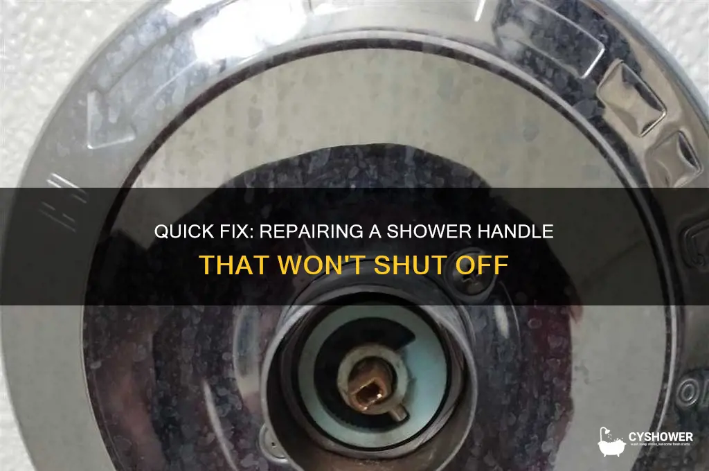 how to fix shower handle that won t shut off
