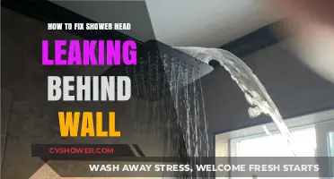Fixing a Hidden Shower Head Leak: Behind-the-Wall Repair Guide