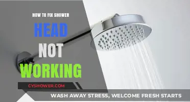 Quick Fixes for a Shower Head That’s Stopped Working