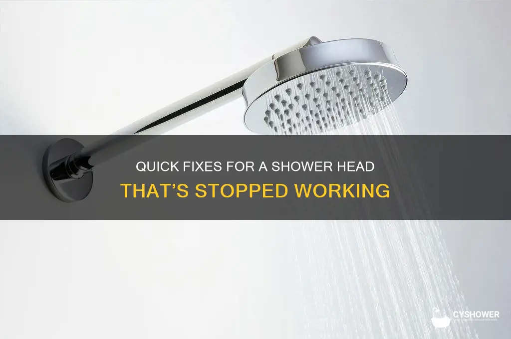 how to fix shower head not working