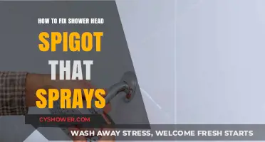 Quick Fixes for a Shower Head Spigot That Sprays Everywhere