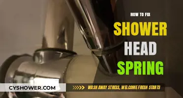 Quick DIY Guide: Repairing Your Shower Head Spring Easily