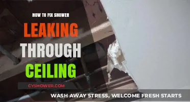 Quick Fixes for Shower Leaks Damaging Your Ceiling: A Guide