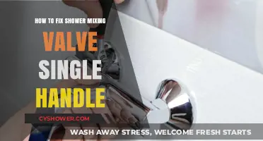 Fix Your Shower Mixing Valve: Single Handle Repair Guide