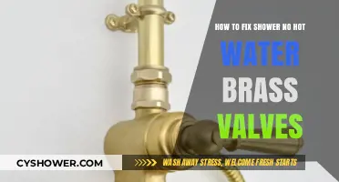 Fixing Shower No Hot Water Issues with Brass Valves: A Guide