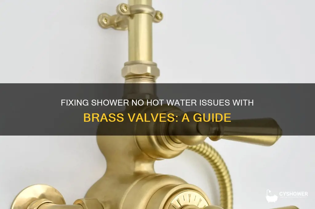 how to fix shower no hot water brass valves