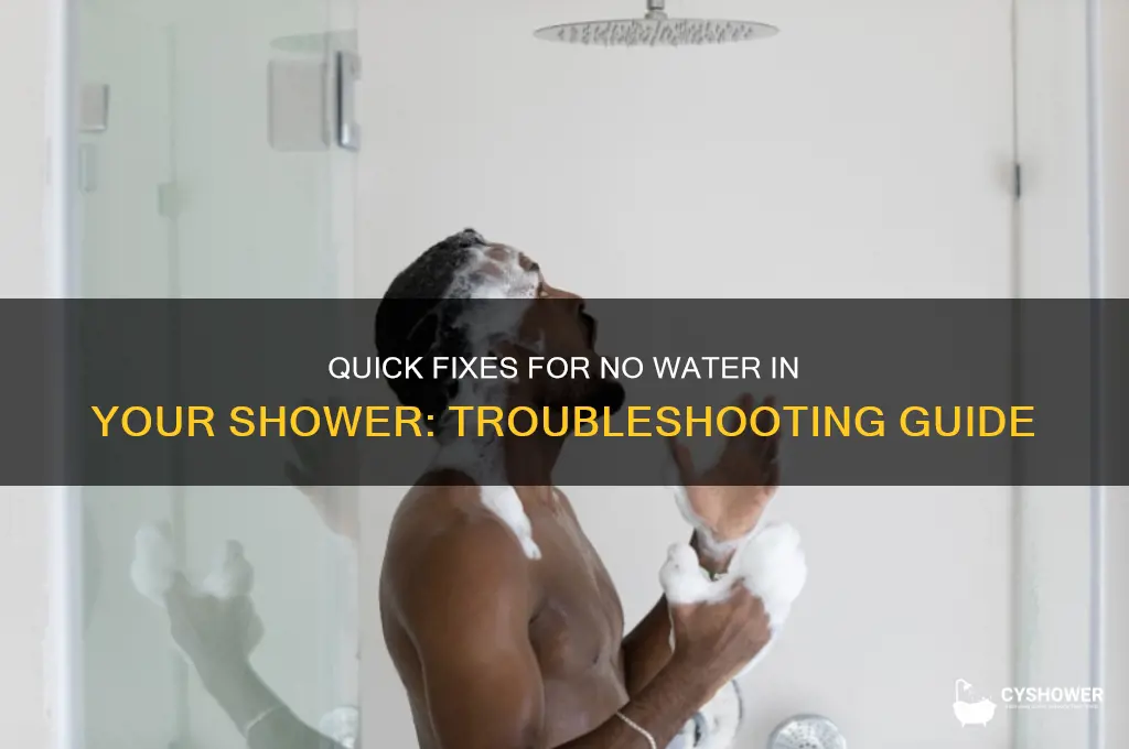 how to fix shower no water