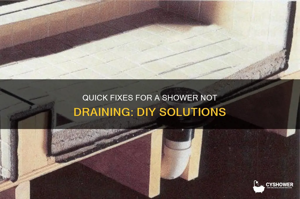 how to fix shower not draining
