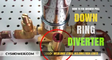 Easy DIY Guide: Repairing Your Shower Pull Down Ring Diverter