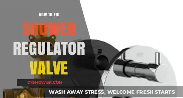 Fixing Your Shower Regulator Valve: A Step-by-Step DIY Guide