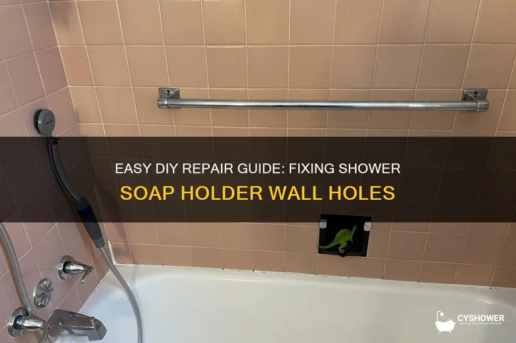 how to fix shower soap holder wall hole