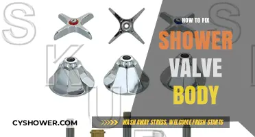 Step-by-Step Guide to Repairing Your Shower Valve Body Easily